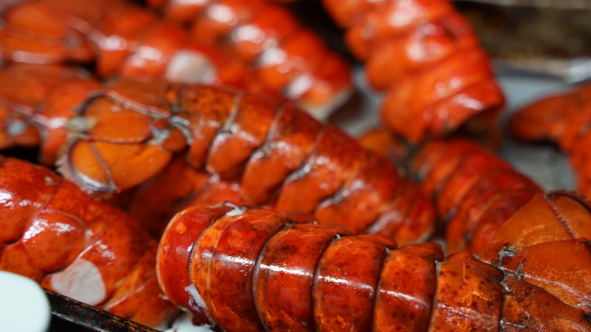 Fresh lobster tails