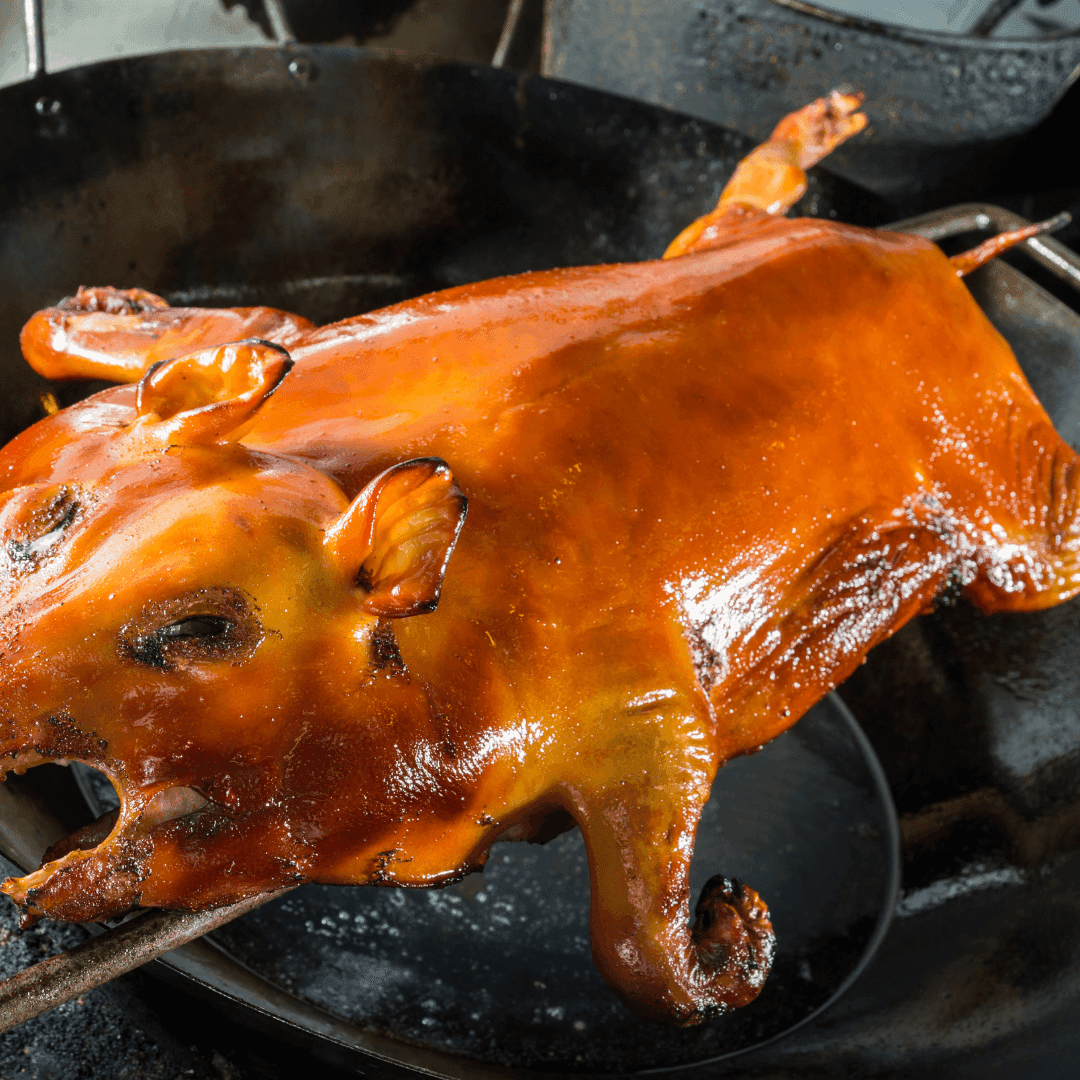 Suckling pig
